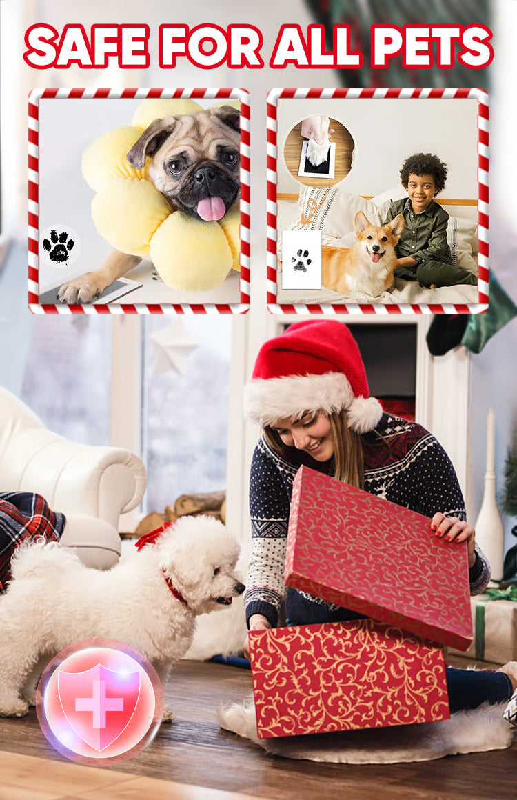 đ¶Kit för att ta avtryck av husdjurs tassarđŸ