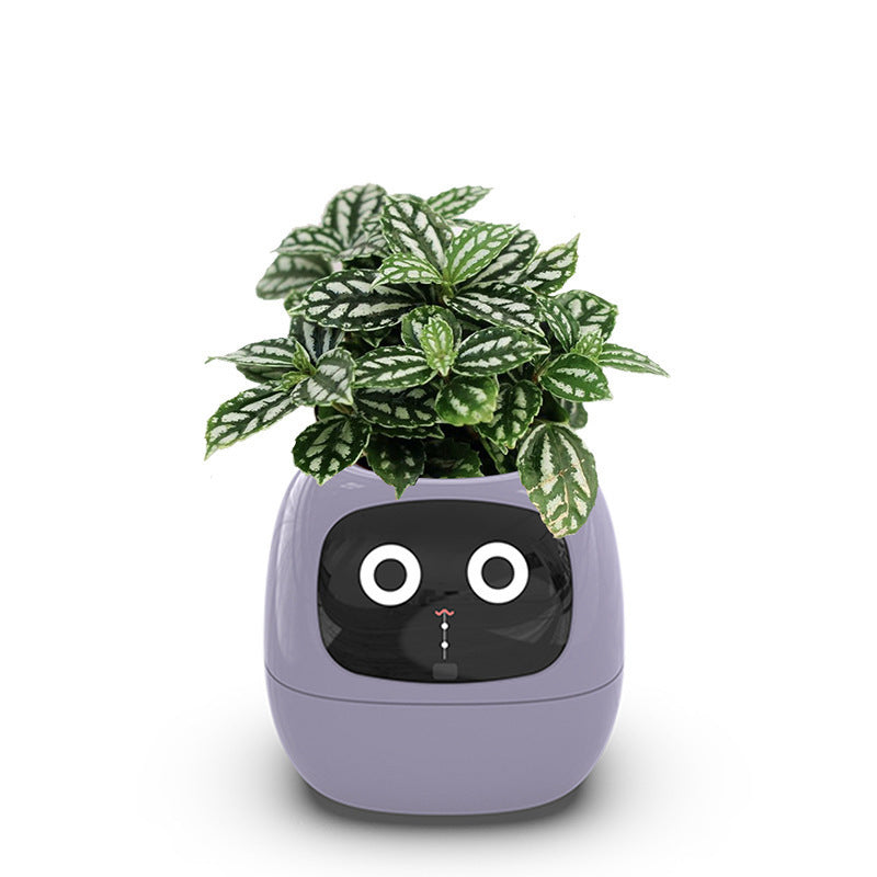 🍀Smart Interaktiv Blomkruka
