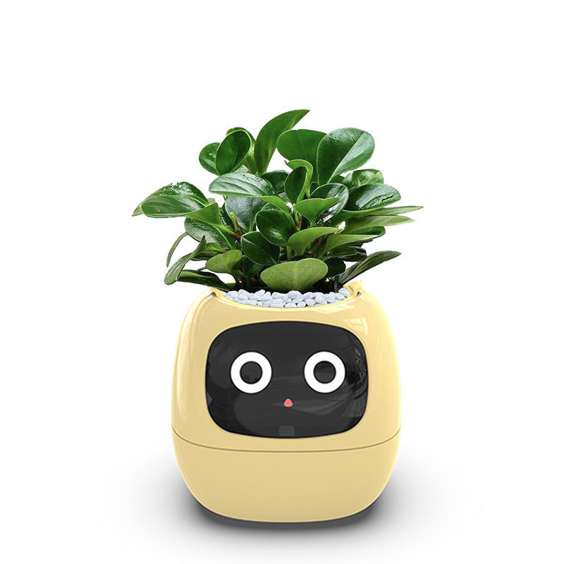 🍀Smart Interaktiv Blomkruka