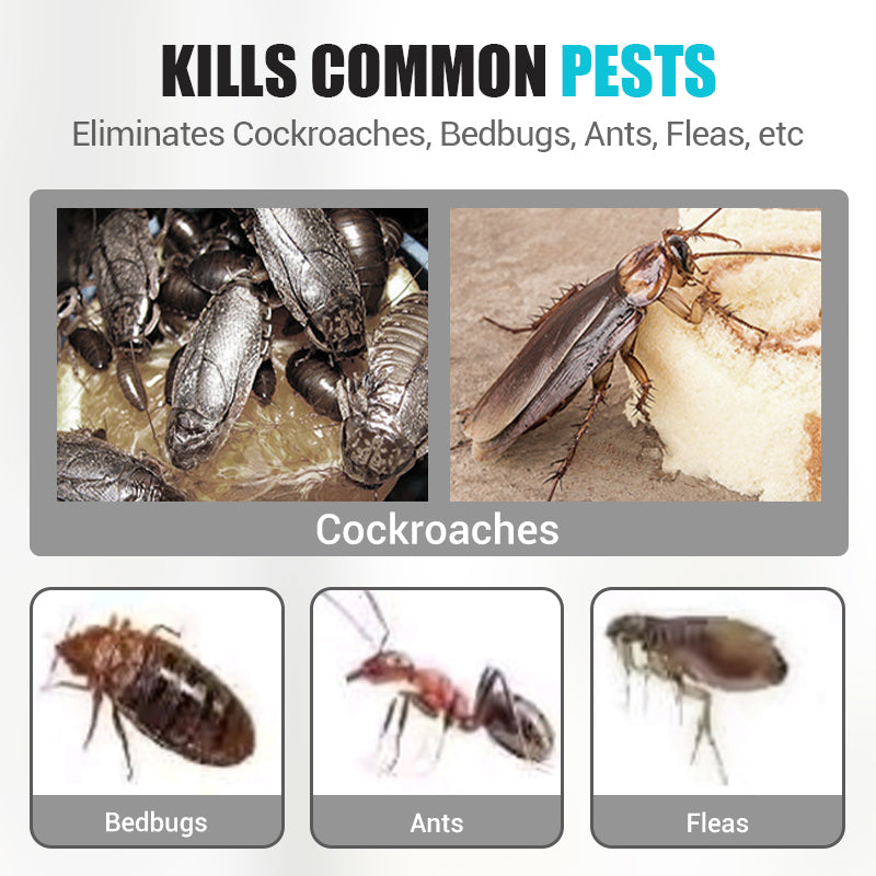 Insektsbekämpningsspray för inomhusbruk med fipronil