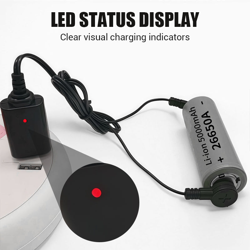 Magnetisk batteriladdare