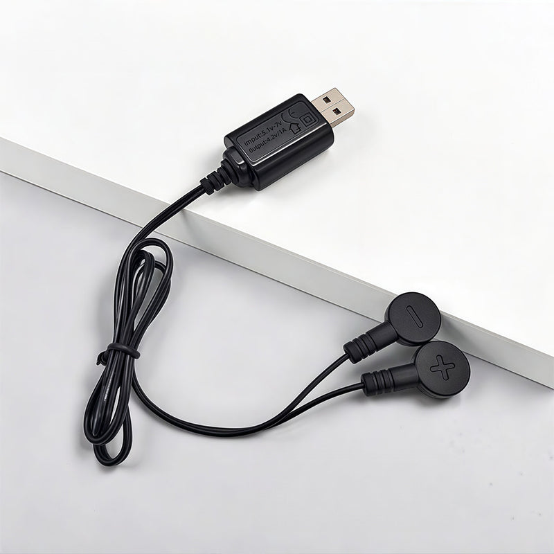 Magnetisk batteriladdare