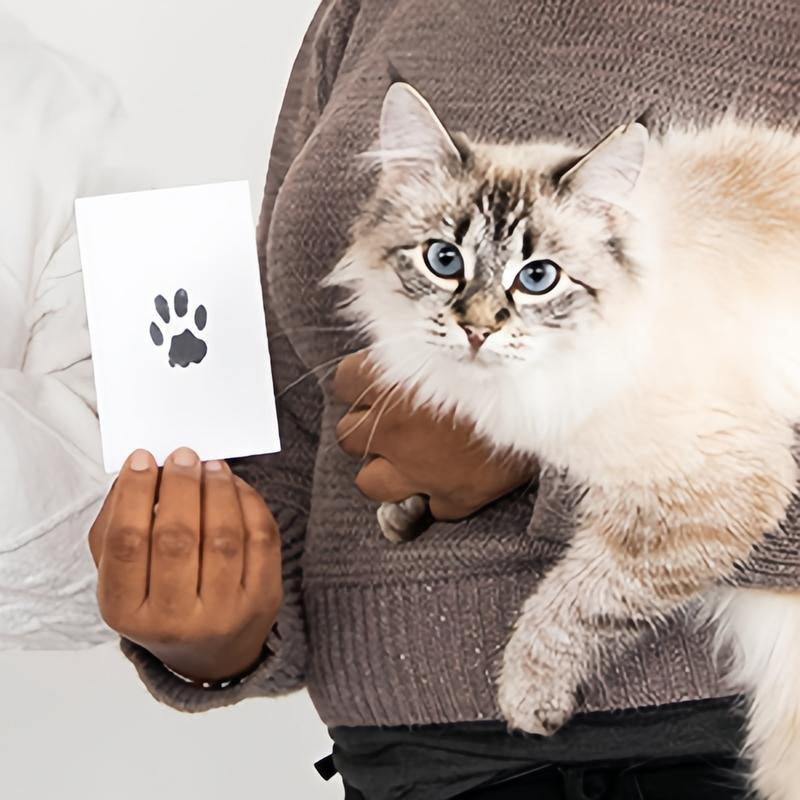 🐶Kit för att ta avtryck av husdjurs tassar🐾