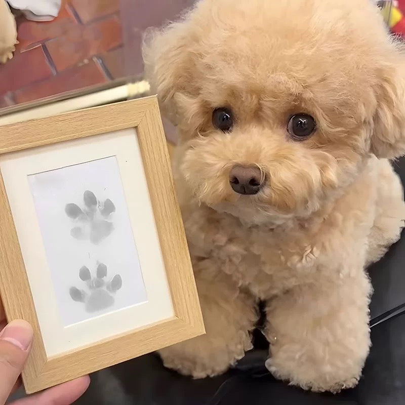 🐶Kit för att ta avtryck av husdjurs tassar🐾