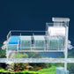 🔥Cirkulerande filterlåda för akvarium med vattenpump