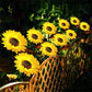 🌻 50% RABATT NU! 🌞 Solros Solenergidriven Trädgårdslykta – LED-belysning & Realistisk Design ✨