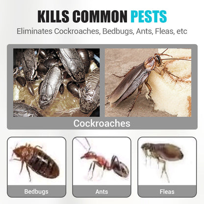 Insektsbekämpningsspray för inomhusbruk med fipronil