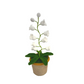 Lily Glow virkad lampa