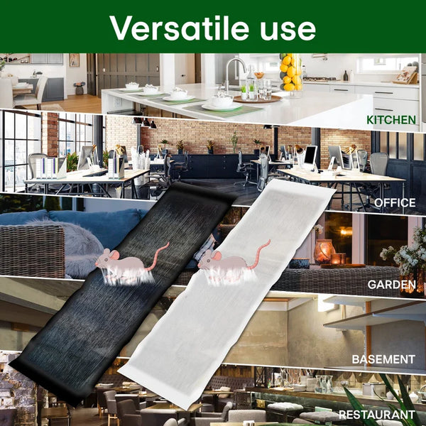 🐭Stor klibbig musfälla--💥Köp 1 få 1 gratis (2st)