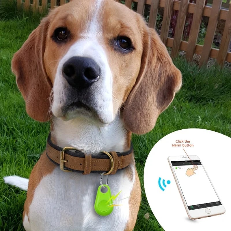 Bluetooth och GPS - Trådlös Spårare för Husdjur