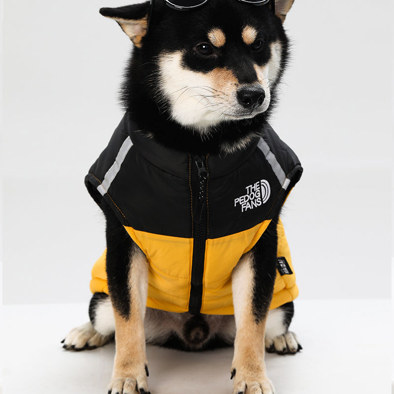 Vattentät Vindtät Vinterjacka för Hund