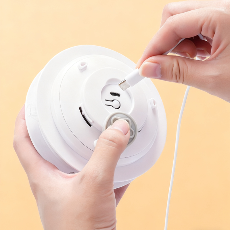 2-i-1 gömma- och sökleksak för katter