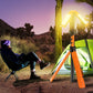 Uppladdningsbar fällbar LED campinglampa med stativ
