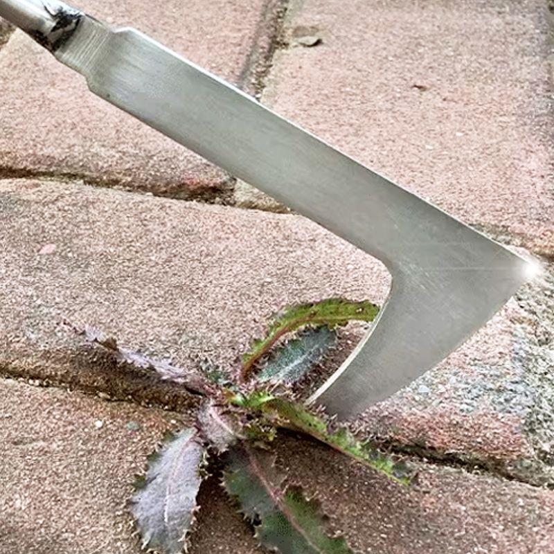 🌱 50% RABATT! 🔧 Mångsidigt Sprickrensningsverktyg för Ogräs – Rostfritt Stål, Ergonomiskt Handtag & Perfekt För Trädgårdsarbete