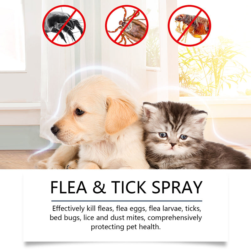 🐶🐱Naturlig Lopp- & Fästingspray