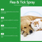 🐶🐱Naturlig Lopp- & Fästingspray