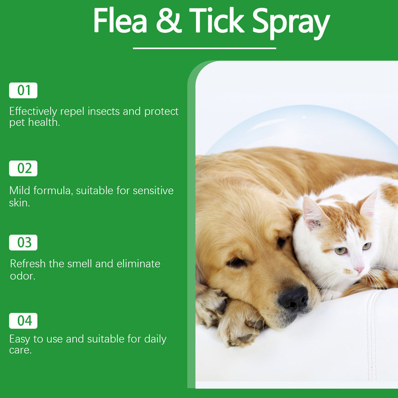 🐶🐱Naturlig Lopp- & Fästingspray