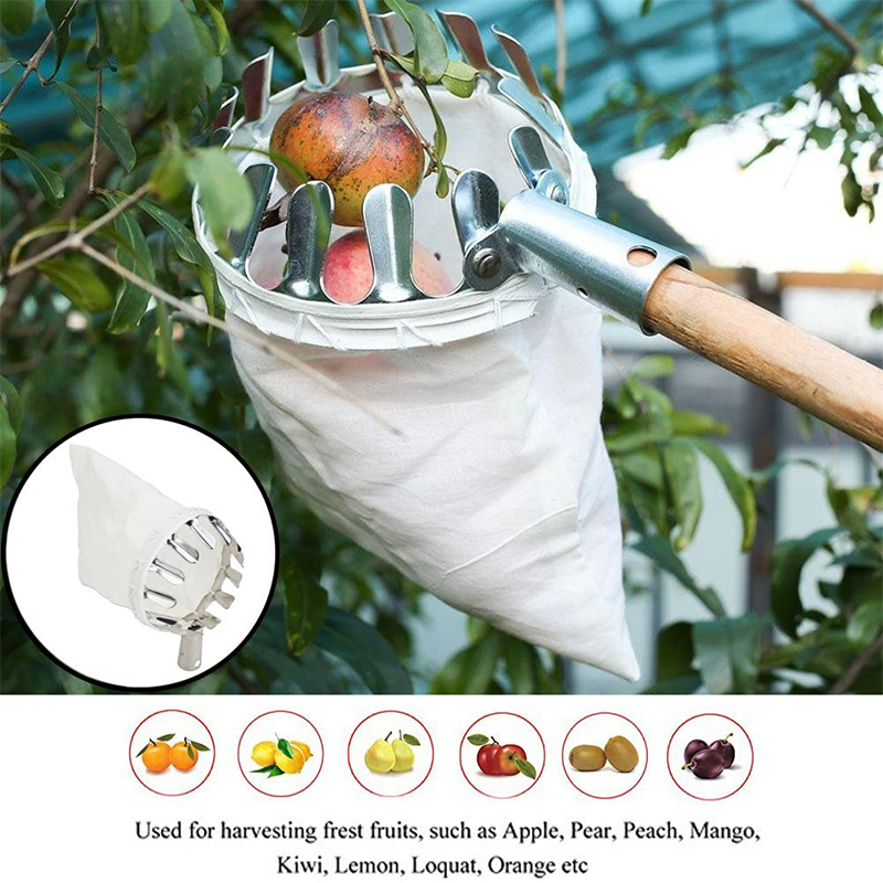 📢📢50 % RABATT!! ⏰Fruktplockarkorg – hållbar design, enkel montering & perfekt för höga grenar utan stege 🌳