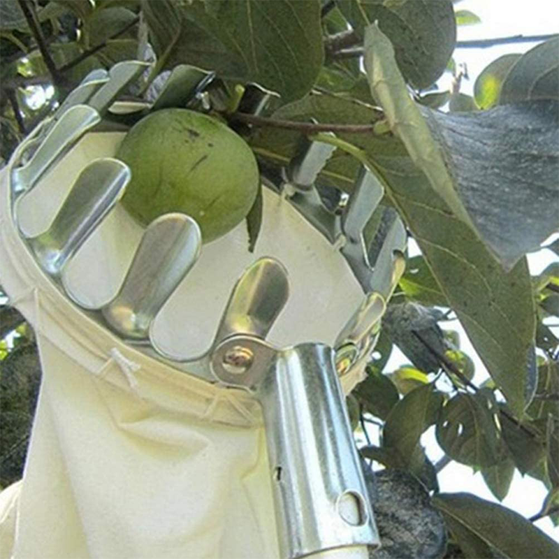 📢📢50 % RABATT!! ⏰Fruktplockarkorg – hållbar design, enkel montering & perfekt för höga grenar utan stege 🌳