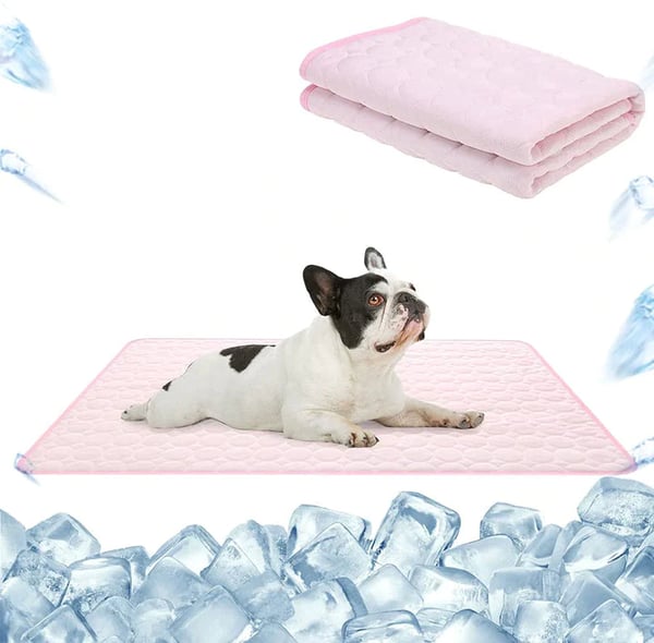 🐾 50 % rabatt nu! ❄️ Premium kylmatta för husdjur – självkylande, andningsbar och vattentät design 🐶