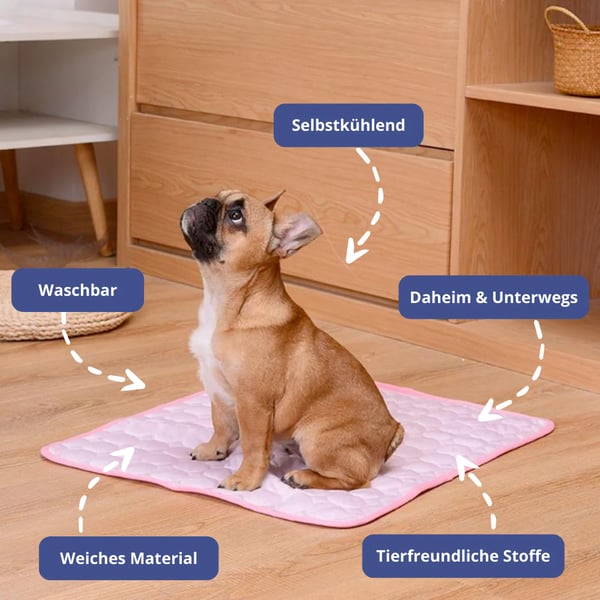 🐾 50 % rabatt nu! ❄️ Premium kylmatta för husdjur – självkylande, andningsbar och vattentät design 🐶