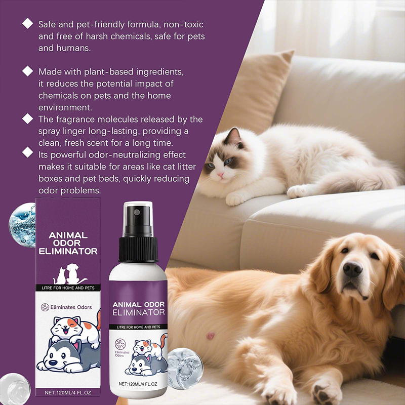 Effektiv luktborttagande spray för husdjur 🐶🐱