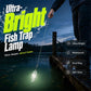 🐟Ultrakraftig fisklampa