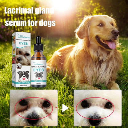 🐱🐶 Ögonrengöring och ögondroppar för husdjur – mild pH-balanserad formula för hundar och katter. Lindrar rodnad och avlägsnar tårfläckar och daglig smuts. Utan peroxid! 🌿💧