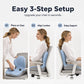 🪑 56% RABATT NU! ✨ Ergonomisk sittdyna i memoryskum med ryggstöd – bekväm och stödjande för hemmet, kontoret och bilen 💺🛡️