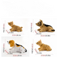 🎉 2026 Sale — Over 12,000 Sold! 🐶 Cute Dog Bobblehead – Nods Along Every Turn – 10 Breeds, Soft Plush, Gold Chain – Brings Smiles to Every Drive 🚗
