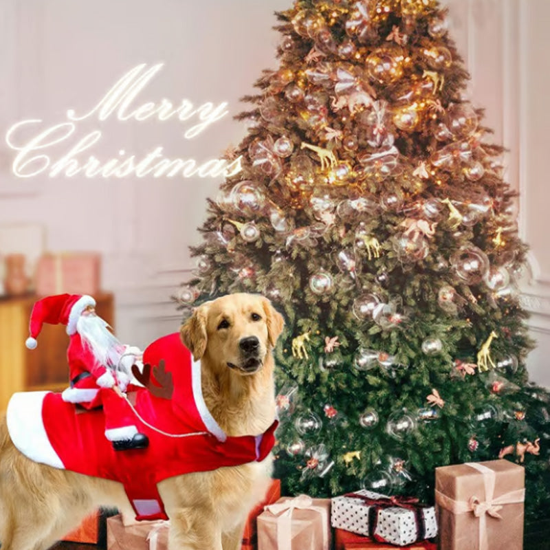 Jultomten riddräkt till jul