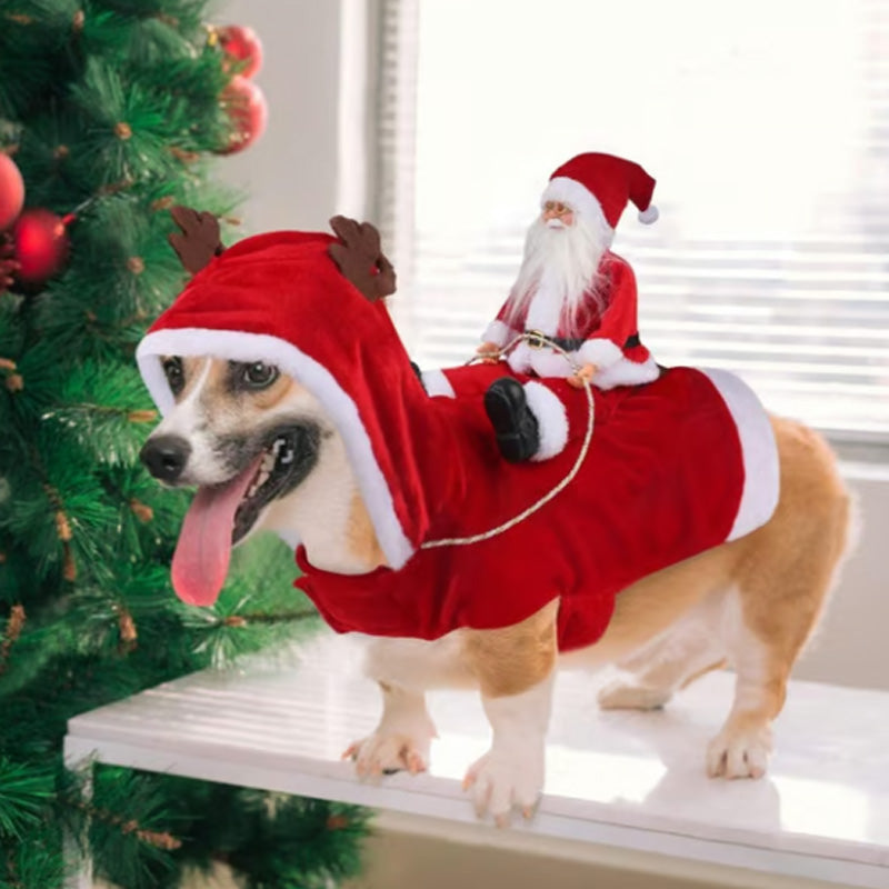 Jultomten riddräkt till jul
