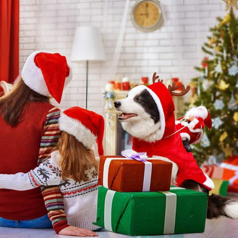 Jultomten riddräkt till jul