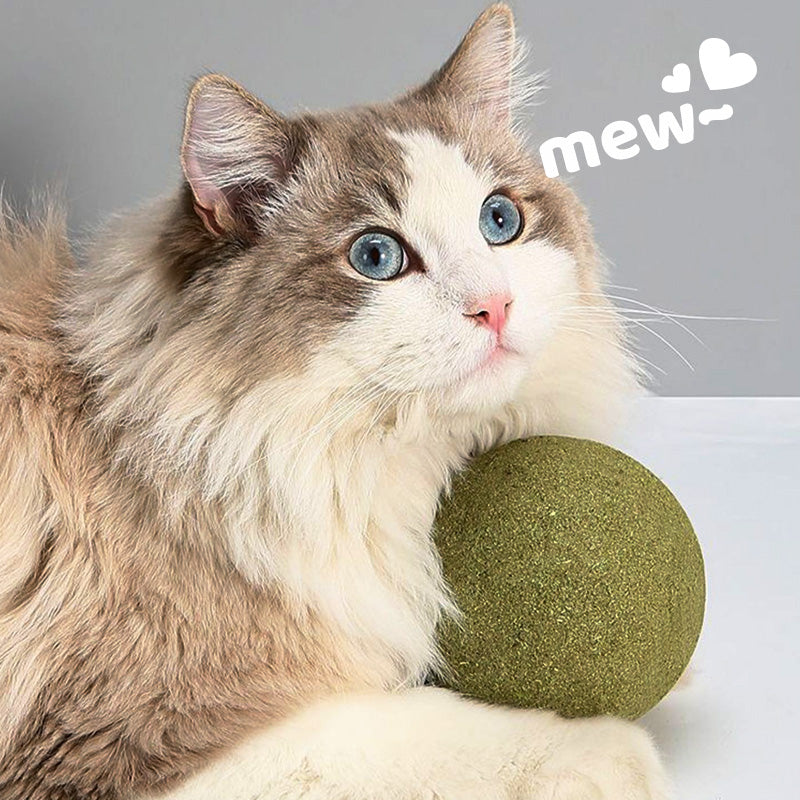 Stora kattmynta-bollar | Låt din katt älska det