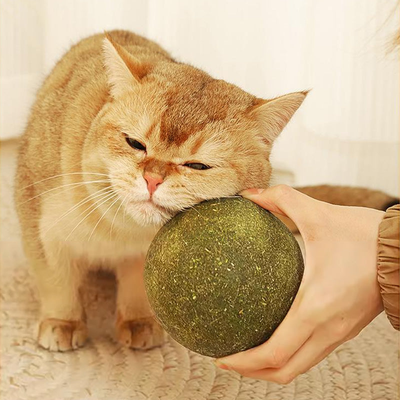 Stora kattmynta-bollar | Låt din katt älska det