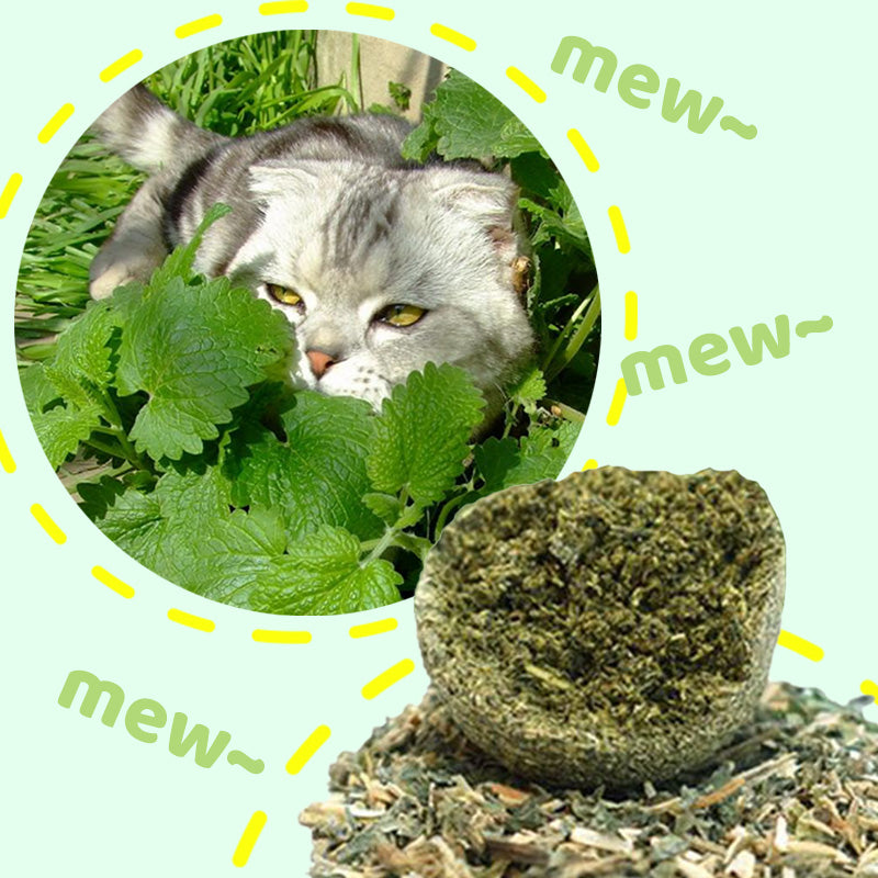 Stora kattmynta-bollar | Låt din katt älska det